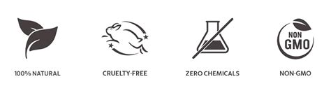 INDUS VALLEY 100% Natural Activated Charcoal Powder Ideal for Skin ...