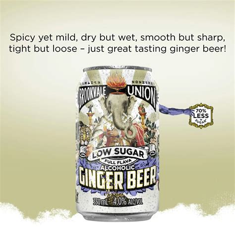 Brookvale Union Low Sugar Alcoholic Ginger Beer, Spicy & Smooth Finish ...