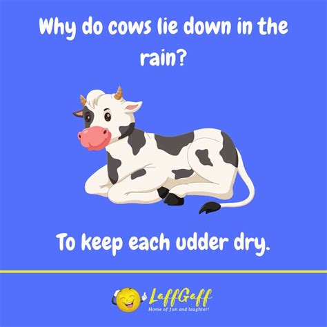 100+ Udderly Hilarious Cow Puns And Cow Jokes! | LaffGaff