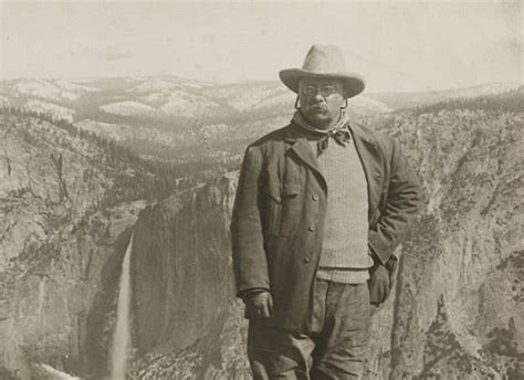 Theodore Roosevelt 的图像结果