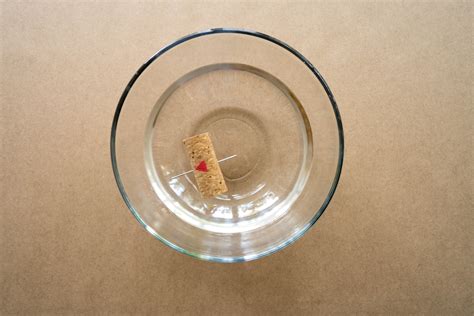 Image result for DIY Compass without Water