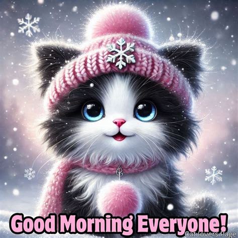 Winter Kitty - Good Morning Everyone! Pictures, Photos, and Images for ...