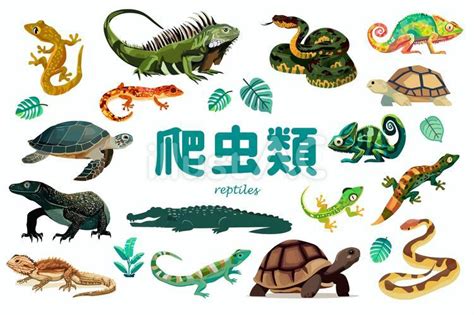Image result for Read Python