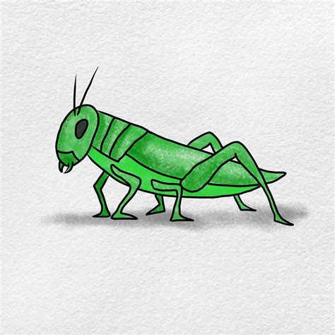 Easy Grasshopper Drawing