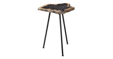 Uttermost 25461 Mircea 16" Wide Cross Section Petrified Wood Accent ...