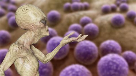 Image result for Alien Organisms