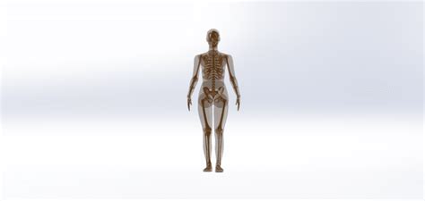 Intramedullary Nail Tibia 的图像结果