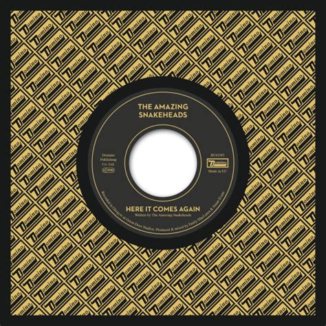 The Amazing Snakeheads - Here It Comes Again (7") | Domino Mart - Domino