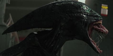 Image result for Prometheus Xenomorph