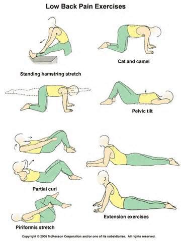 Image result for Left Lower Back Muscle Strain