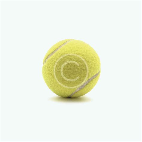 Tennis Ball 的图像结果