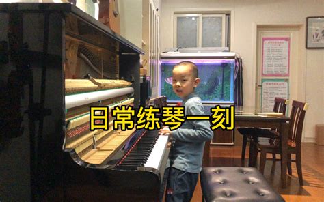 钢琴调律师调整钢琴琴键高清摄影大图-千库网
