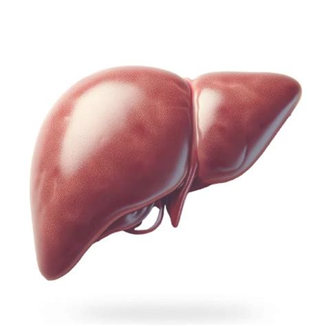 2024 EASL-EASD-EASO Clinical Practice Guidelines for MASLD Management ...