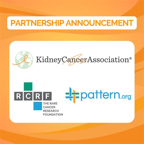 Rare Cancer Research Foundation and Kidney Cancer Association Create Partnership to Accelerate ...