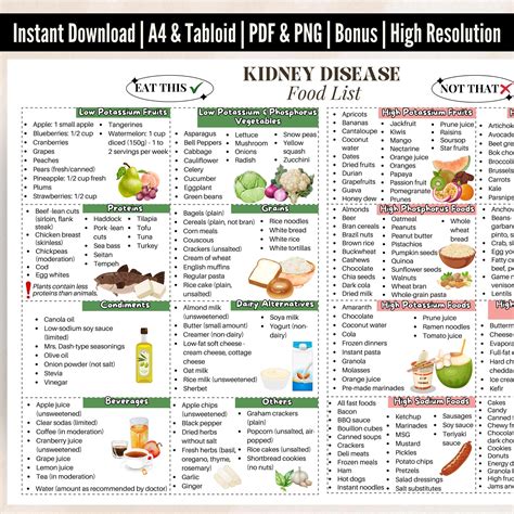 Kidney Food List Printable Digital Poster, Stage 3 Kidney Disease Food List, Kidney Friendly ...
