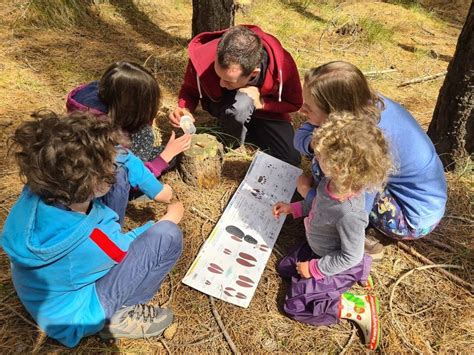 Family Bushcraft Day, Anagach Woods, Aviemore, 3 April 2024 | AllEvents.in