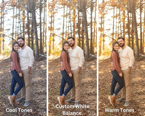 Rezultat imagine pentru Using ExpoDisc