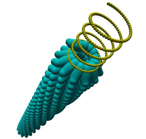 plzz tell me that how to make a 3d model of TMV VIRUS ( tobacco mosaic ...