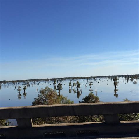 ATCHAFALAYA BASIN BRIDGE (2025) All You Need to Know BEFORE You Go ...