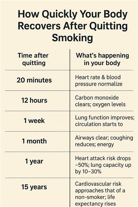 Effects Of Smoking: Health Damage & How To Quit Successfully