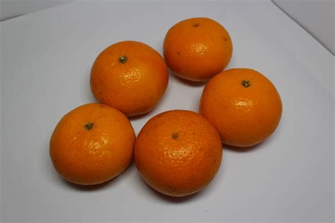 Image result for X-Rite ColorMunki