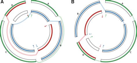 Image result for Block-Sorting