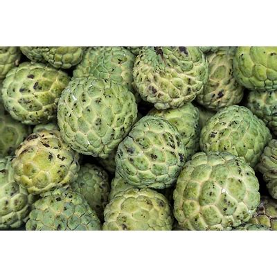 Array | Indian Business Portal