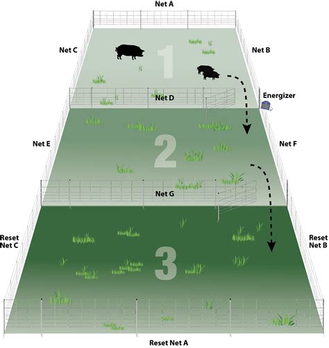 Practical Pasture Configurations for Rotational Grazing ...