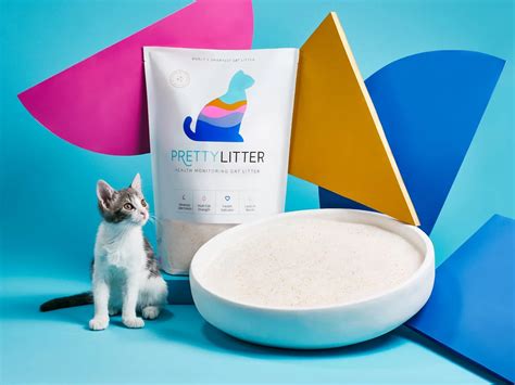 Pretty Litter Review: Monitoring Your Cat's Health | The News God
