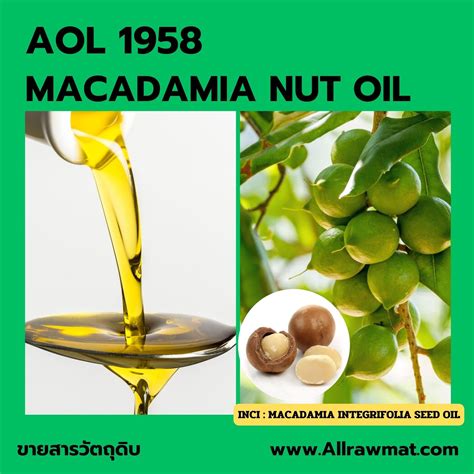 AOL 1958 : MACADAMIA NUT OIL - Rawmator สารวัตถุดิบ