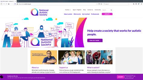 Image result for PBS Plan Template Learning Disability