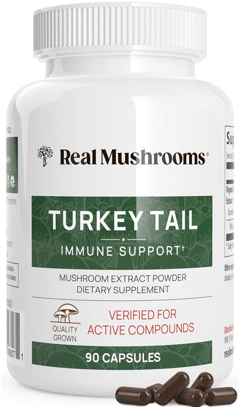 Best Turkey Tail Supplement: Top Picks for Boosting Immune System ...
