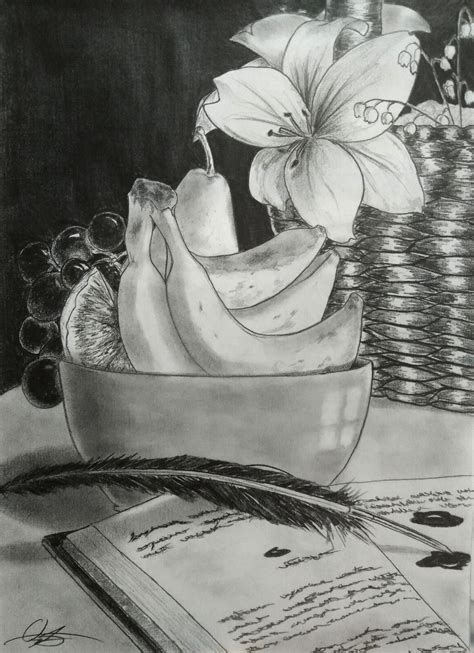 Fruits Still Life Drawings In Pencil