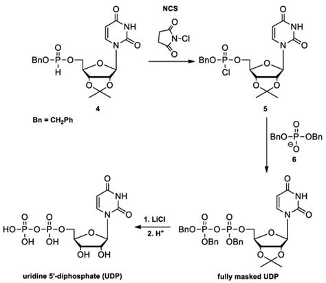 Applied Sciences | Special Issue : Applications of Nucleic Acids in ...
