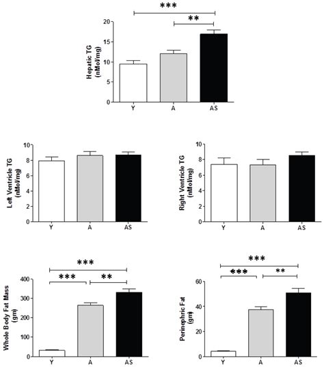 Healthcare | September 2015 - Browse Articles