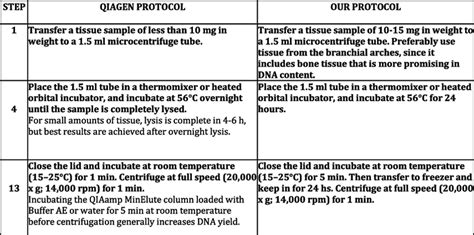 Image result for DNA Extraction QIAGEN Protocol
