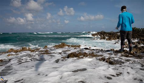 Cosmoledo Eco Camp - Resort - Eco Pod Fishing Package - Wizard Island ...