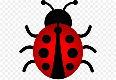 lady beetle clipart 10 free Cliparts | Download images on Clipground 2025