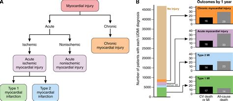 Management of Acute Coronary Syndrome in the Older Adult Population: A Scientific Statement From ...