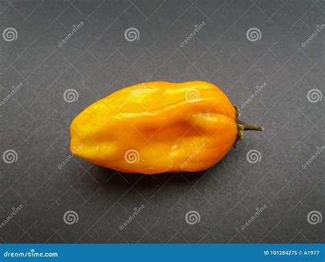 Yellow Hot Chili Pepper Vegetables Food Stock Image - Image of peppers ...
