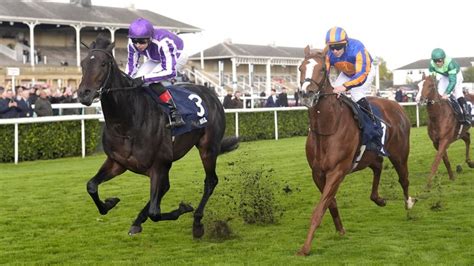 Hawk Mountain leads home Futurity one-two-three for O'Brien | Racing ...