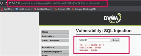 SQL Injection 的图像结果