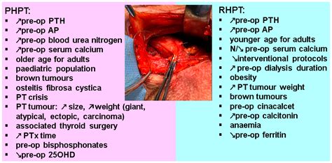 Forestalling Hungry Bone Syndrome after Parathyroidectomy in Patients with Primary and Renal ...