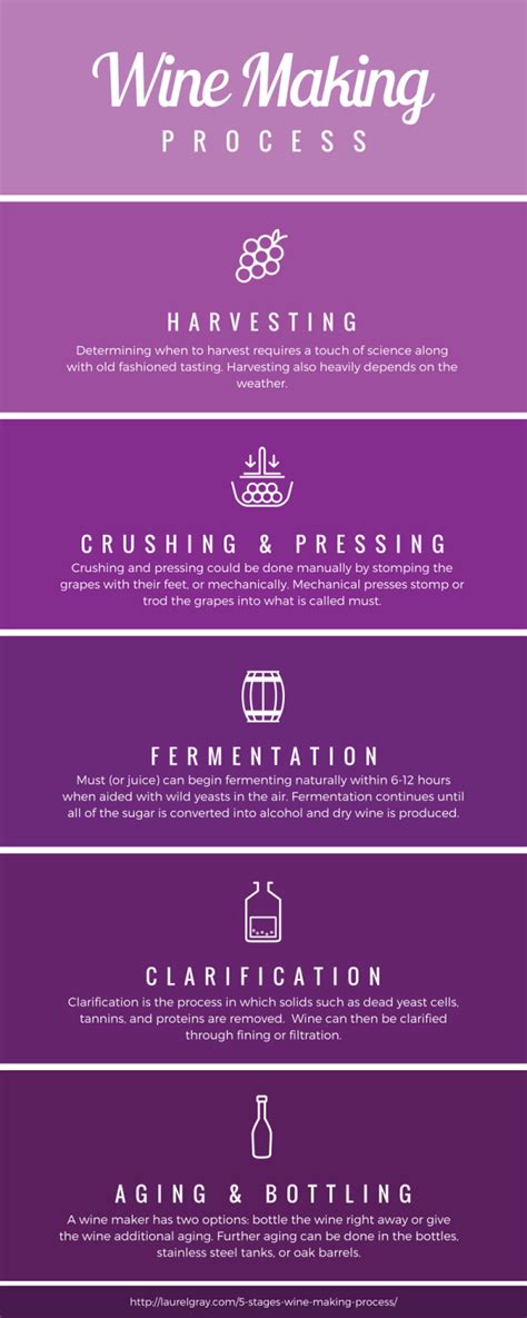 Wine Making Process 的图像结果