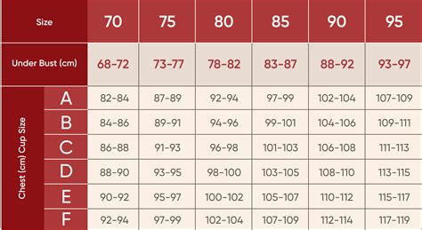 Cup Size Examples 的图像结果