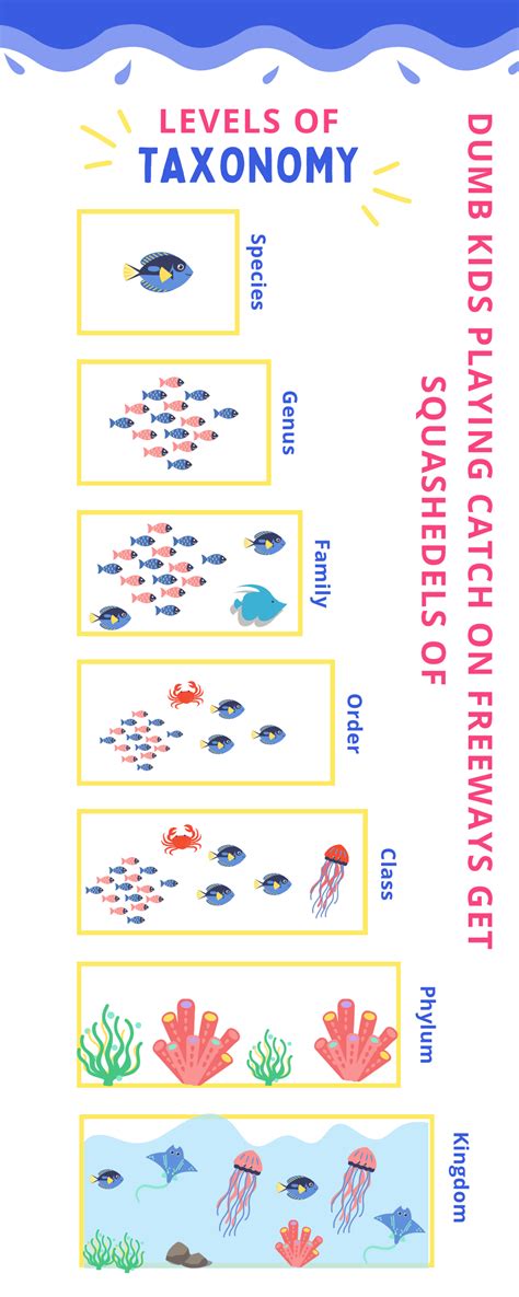 Image result for Taxonomy Basics