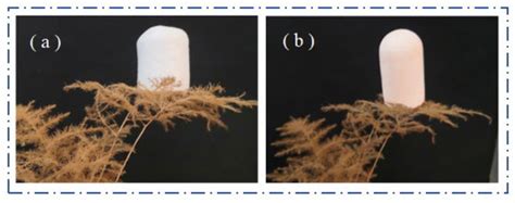 Preparation and Properties of Flexible Phenolic Silicone Hybrid ...