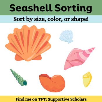 Seashell Sorting Activity 的图像结果