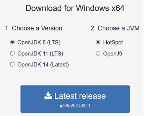 How to Use Java OpenJDK 8 的图像结果