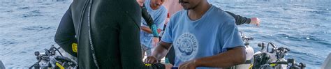 Explore the Depths with Our Full-Day Dive Trip in Manggarai | PADI Dive ...
